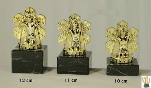 Ski langlauf trophäe pokal - langlauf,