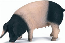 GW202d Schleich 13612 Schwäbisch-Hällisches Schwein