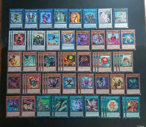 Yugioh lot insekt pflanze - lot,