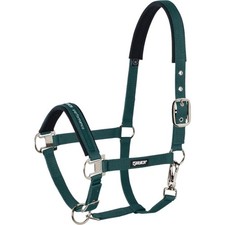 Eskadron Racinggreen Vollblut