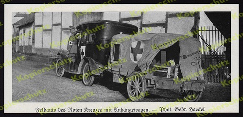 Haeckel drk rotes - haeckel,