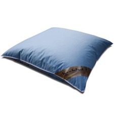 Kissen mit 100% neuen weißen Gänsefedern in 80x80 cm Federkissen blau Kopfkissen