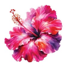 Riesiger XXXL 30X30 cm