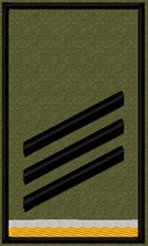 Bundeswehr Rangabzeichen Heer
