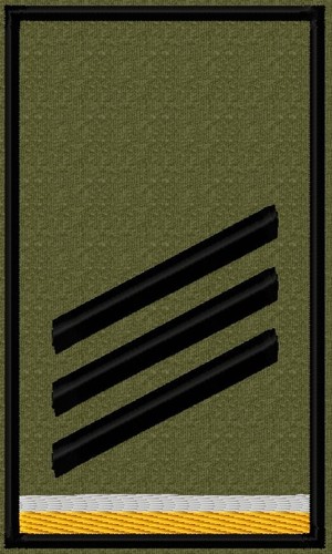 Bundeswehr rangabzeichen heer - bundeswehr,