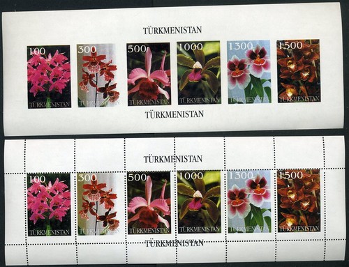 159107 pflanzen blumen - 159107),