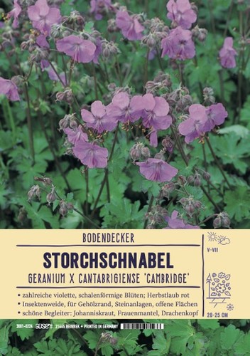 Geranium cantabrigiense