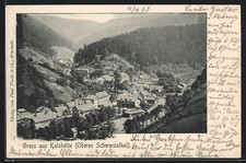 Ansichtskarte Katzhütte, Schöne Gesamtansicht 1903 