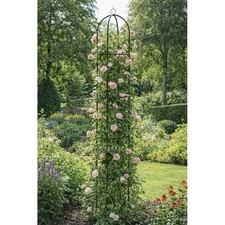 Rankhilfe Ranksäule