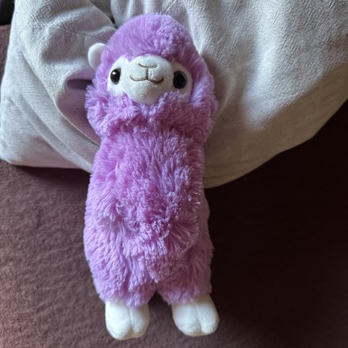 Morgenroth lama rosa - lama,