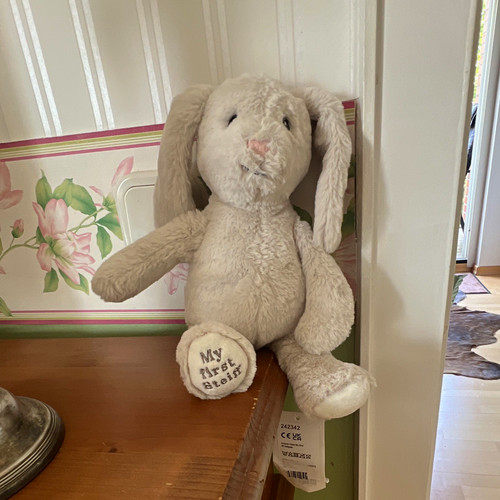 Hase kaninchen first - hase,
