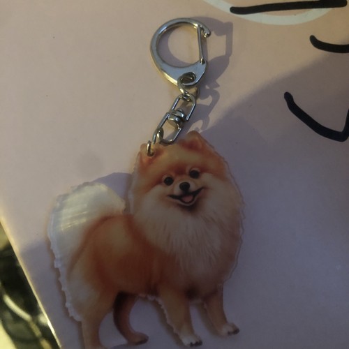Schlüsselanhänger pomeranian - schlüsselanhänger,