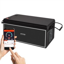 12V 200Ah LiFePO4 Akku BMS +