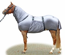 Ekzemer-Decke -Security grau