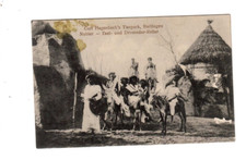 18871- Hamburg Stellingen Hagenbecks Tierparkt Nubier Esel-Dromedar Reiter