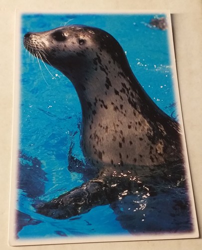 Seal seal seal station