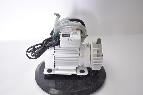Dentsply vakuumpumpe für - dentsply,