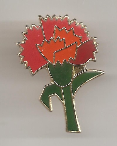 Mai pin 1995 thema - 1.mai,
