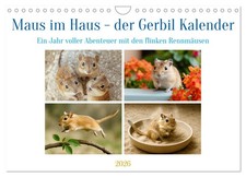 Maus im Haus - der Gerbil