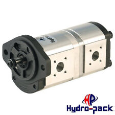 Hydraulische Doppelpumpe