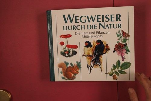 353544 wegweiser durch die - durch,
