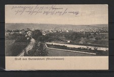 AK Gruß aus Guntersblum (Rheinhessen), Totalansicht, 1917 #1095836