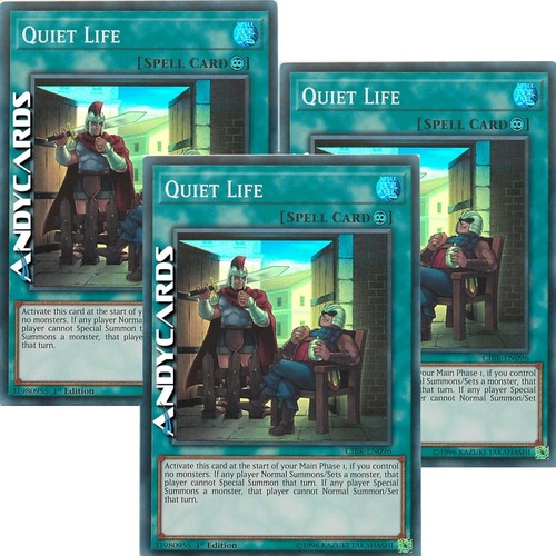 Quiet life - 3x,