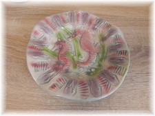 Original aus Hawaii Deko Schale Handmade Seepferdchen Hummer Krebs Keramik 20cm