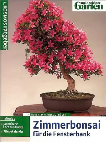 Zimmerbonsai für die