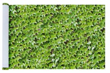 MAXIMEX Balkon Sicht Schutz