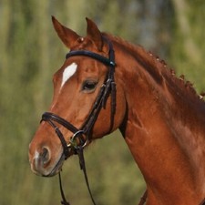 % Stübben Trensenzaum Trense LEITRIM englisches RH - UVP €189,00 - NH