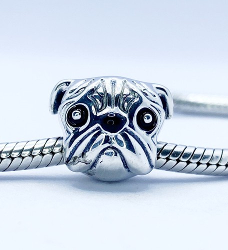 Mops hund welpe charm - mops,