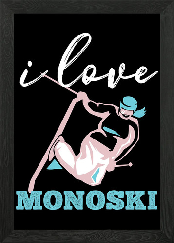 Monoski funny mono - monoski, ski