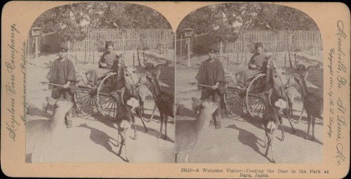 Stereo foto nara japan - stereo,