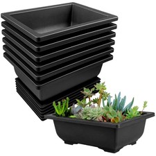 Bonsai Schale, 6 Stück