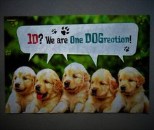 Poster Golden Retriever Welpen