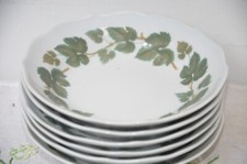 6 x Hutschenreuther Weinlaub