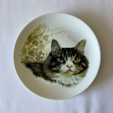 Monika Heller-Cole Cat