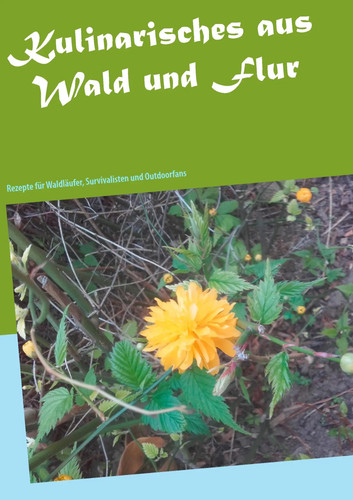 Kulinarisches aus wald - aus, und