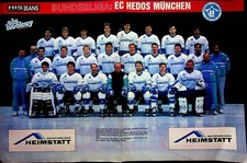 Eishockey Poster Hedos