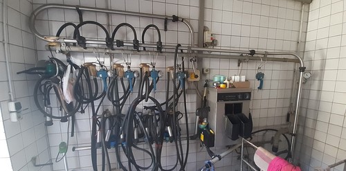 Melkanlage milchviehbetrieb - melkanlage,