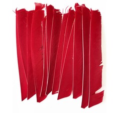 50X Pfeilfedern Naturfedern