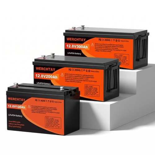 12v 24v 100ah 200ah - 24v,