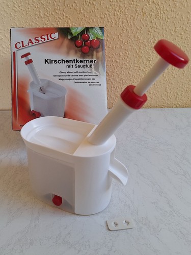 Kirschentsteiner