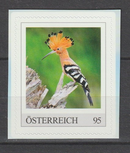 österreich vögel - Österreich,