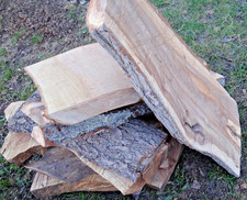 Pflaume Zwetschge Brett Bohle