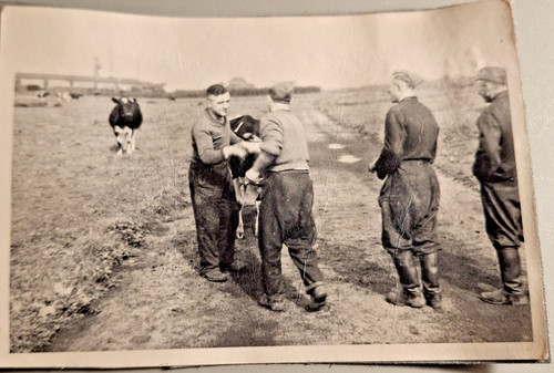 Altes foto militär ii - militär, wk