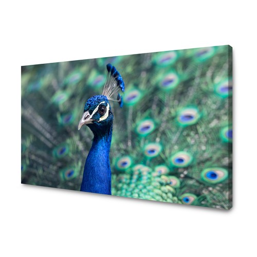 Canvas leinwandbilder xxl - leinwandbilder,