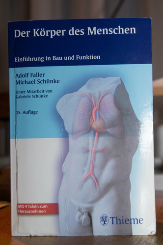 Der körper des menschen - körper,