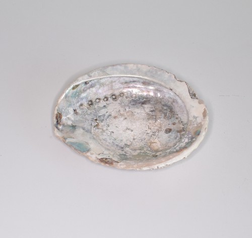 Muschelschale sehr schön - sehr,